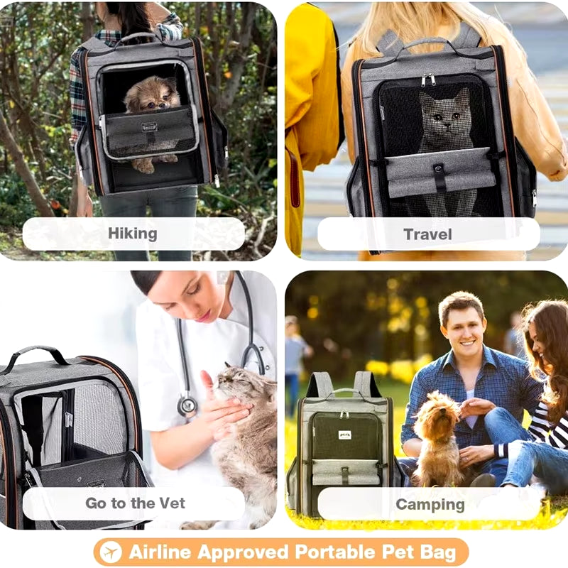 🎒🐾 Foldable & Expandable Pet Travel Backpack 🐕🐈