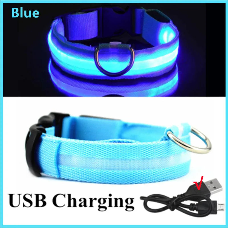 ✨🔦 LED Glowing Dog Collar🐕