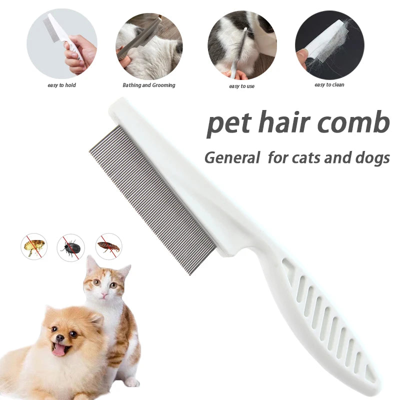 🐾Pet Hair Grooming🐾