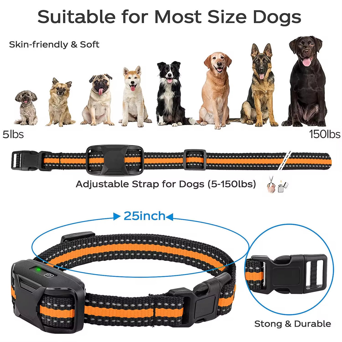 Dog Training Collar