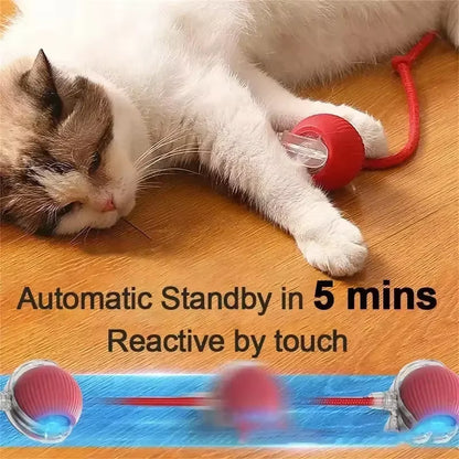 🎾 Self-Rotating Smart Ball for Cats & Dogs 🐾