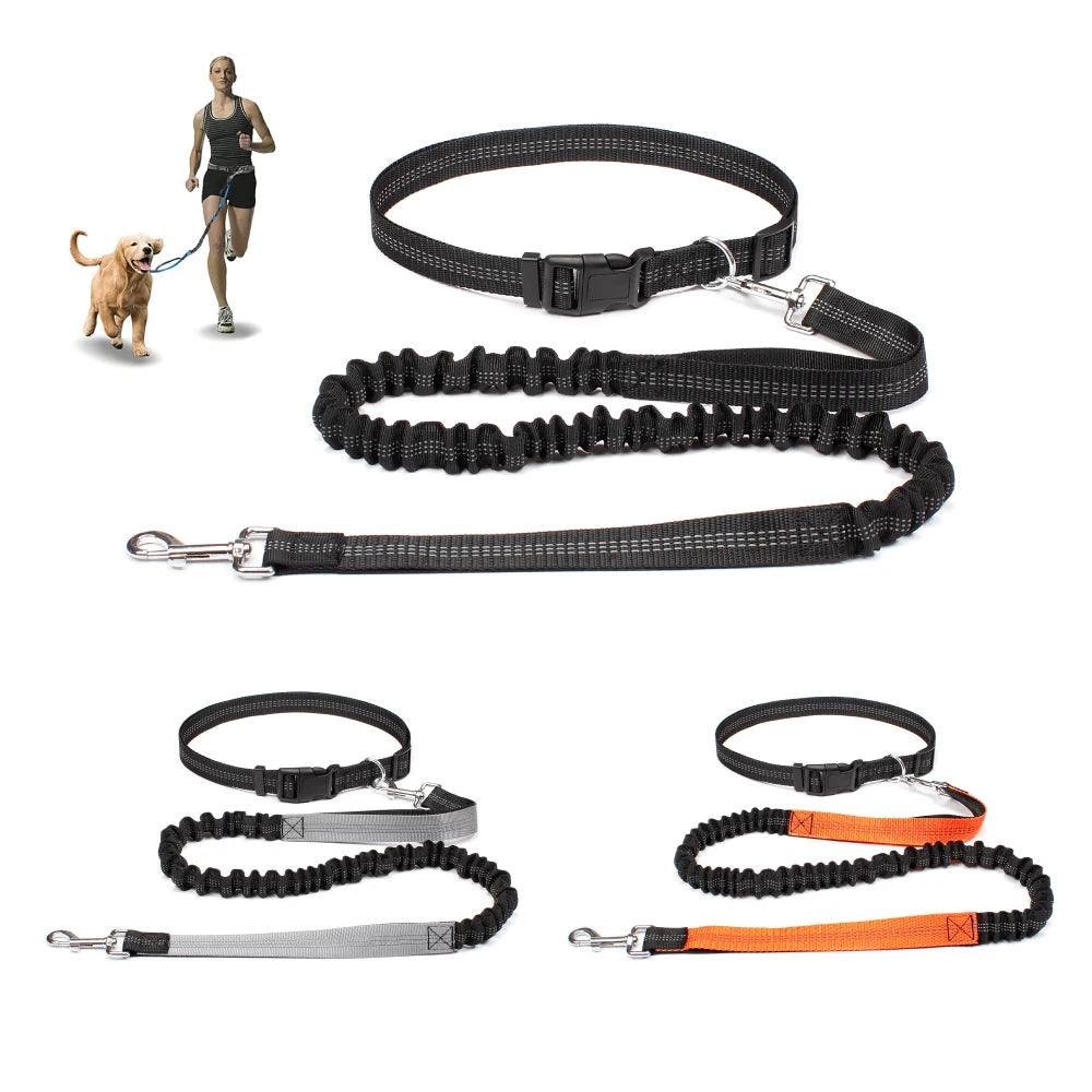 🏃‍♂️Hands-Free Dog Leash🐶