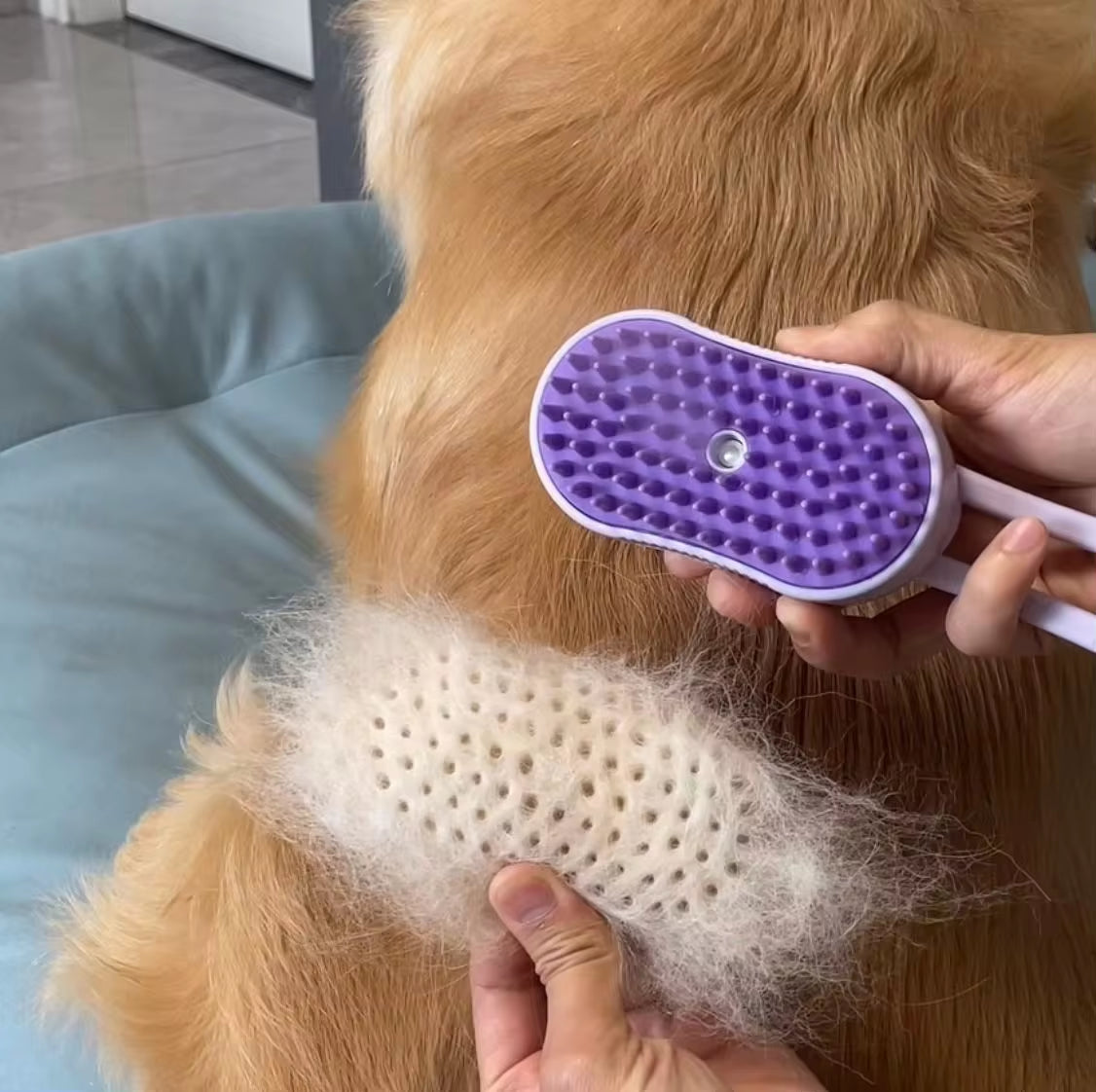 🚿 4-in-1 Pet Spray Comb for Cats & Dogs! 🐾