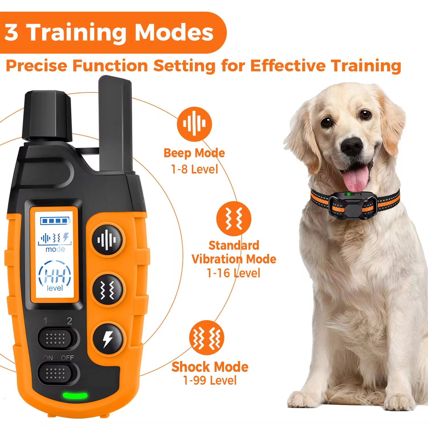 Dog Training Collar