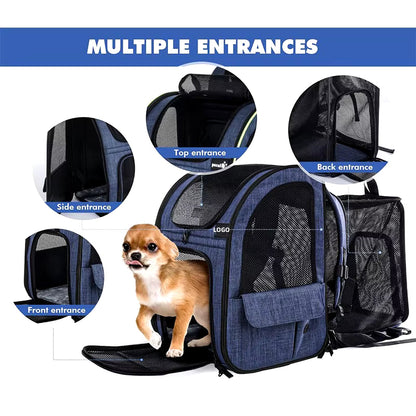 🎒🐾 Foldable & Expandable Pet Travel Backpack 🐕🐈