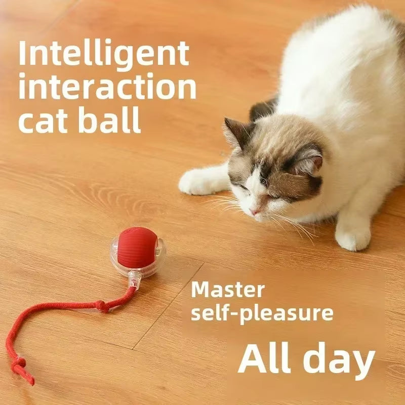 🎾 Self-Rotating Smart Ball for Cats & Dogs 🐾