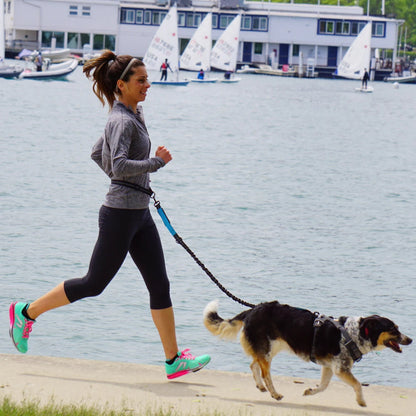 🏃‍♂️Hands-Free Dog Leash🐶