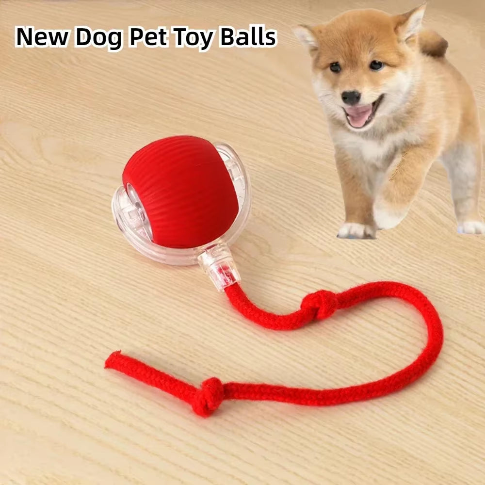 🎾 Self-Rotating Smart Ball for Cats & Dogs 🐾