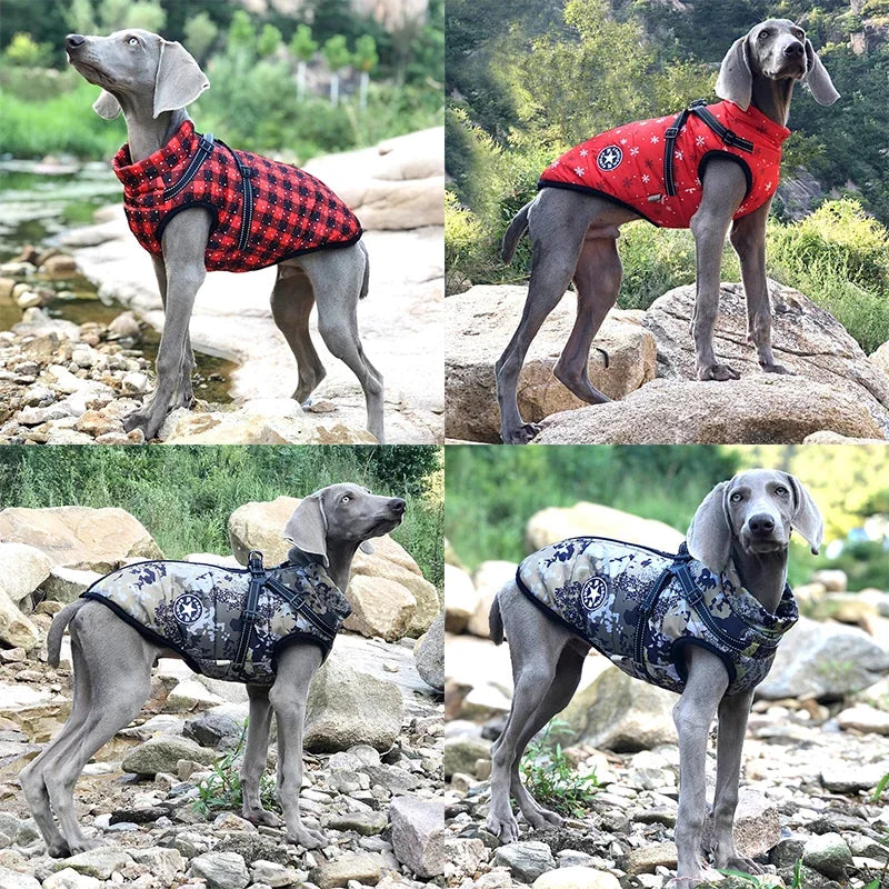 🐾 Pawfect Winter Dog Jacket with Harness: Stay Warm & Stylish! 🧥