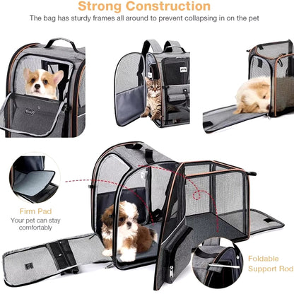 🎒🐾 Foldable & Expandable Pet Travel Backpack 🐕🐈