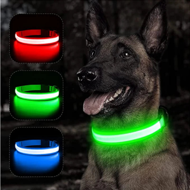 ✨🔦 LED Glowing Dog Collar🐕