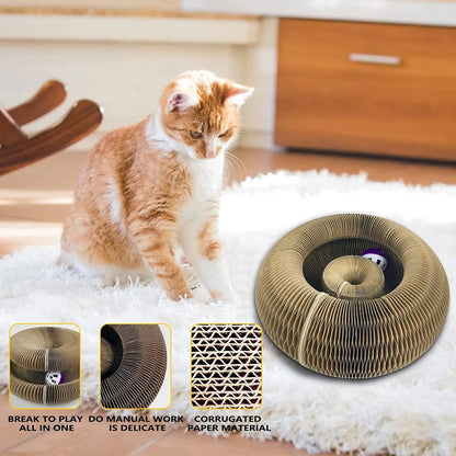 🔥 PurrPlay™ 3-in-1 Cat Scratcher Ball 🔥