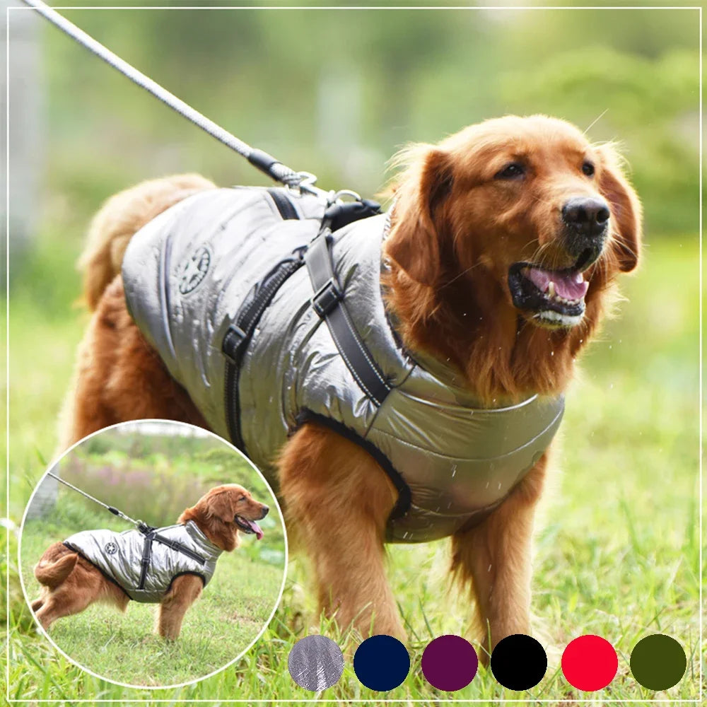 🐾 Pawfect Winter Dog Jacket with Harness: Stay Warm & Stylish! 🧥